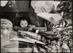 New York (Child in Fish Market)