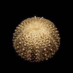 Sea Urchin desk clock