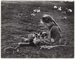 Esztergom, April 24, 1918