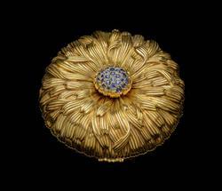 Dahlia Compact