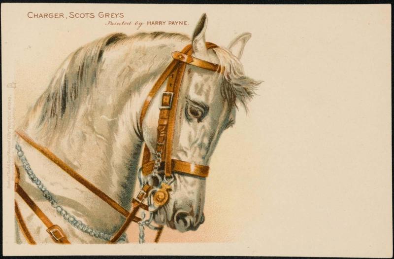 Charger, Scots Greys painted by Harry Payne.