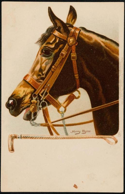 Brown horse facing left with riding whip.