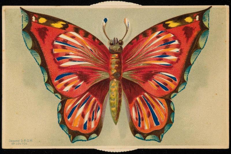 Kaleidoscopic card of a butterfly
