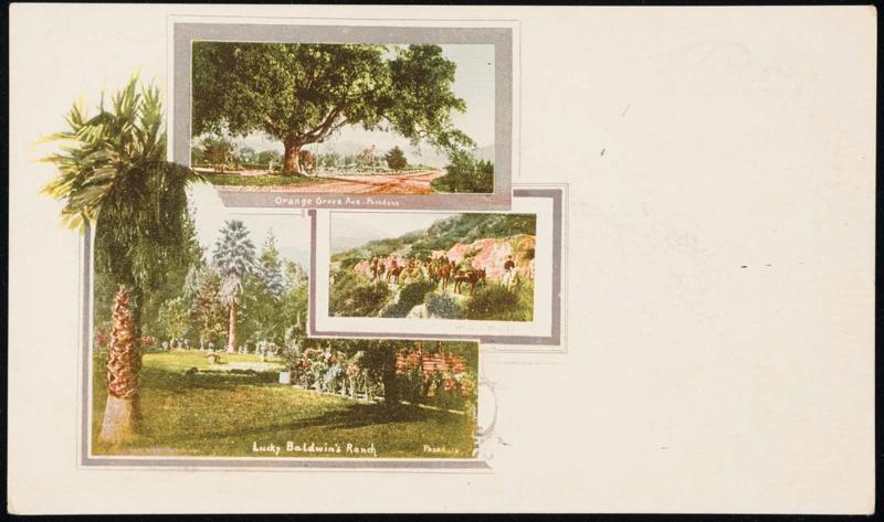 Lucky Baldwin's Ranch//Wilson's Trail/Orange Groove Ave. Pasadena. F3