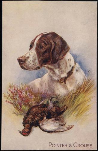 POINTER & GROUSE.