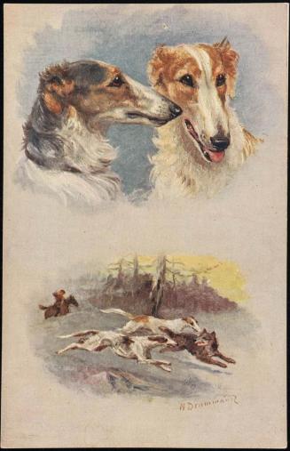 Two insets: 2 dog busts; 2 dogs chasing a fox with master in background.
