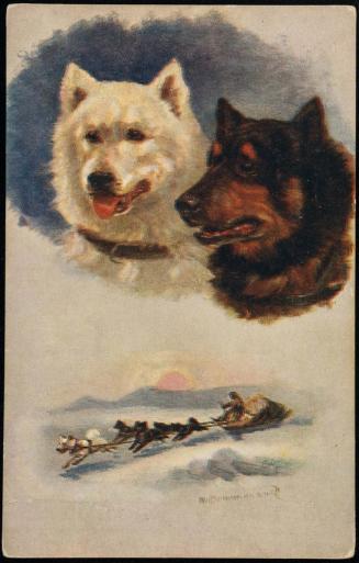 Two insets: 2 Husky busts; 2 dogs drawing a dog sled.