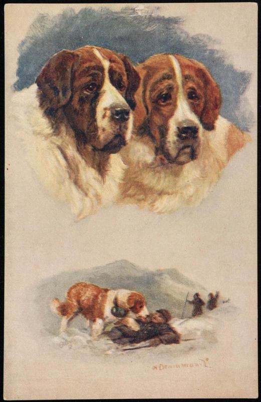 Two insets: 2 St. Bernard busts; St. Bernard rescuing hiker.