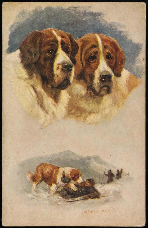 Two insets: 2 St. Bernard busts; St. Bernard rescuing a hiker.