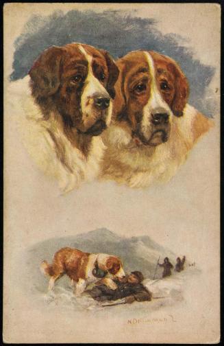 Two insets: 2 St. Bernard busts; St. Bernard rescuing a hiker.
