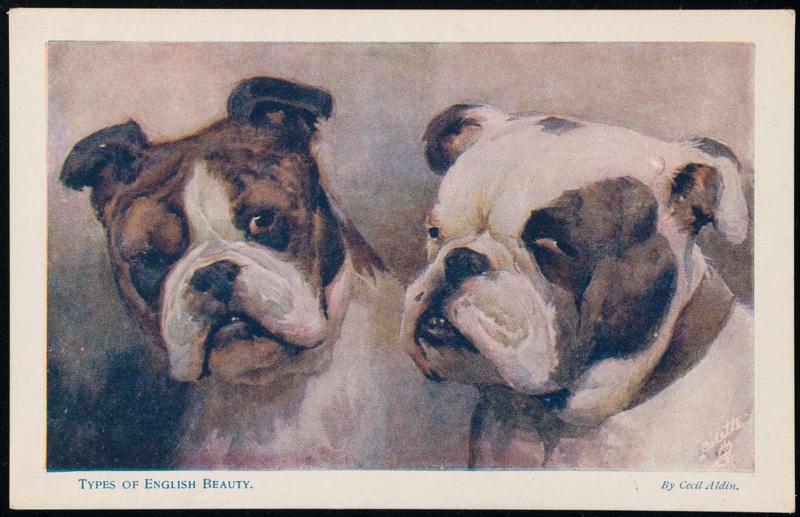 Types of English Beauty.