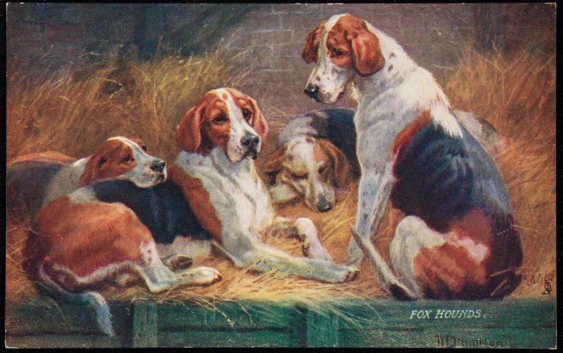 FOX HOUNDS.