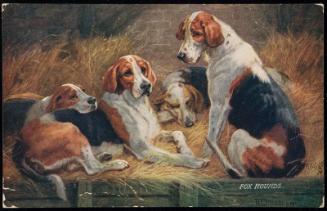 FOX HOUNDS.