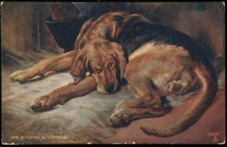 THE SLEEPING BLOODHOUND.
(Sir Edwin Landseer.)