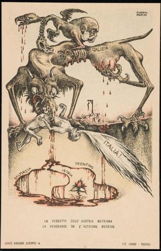 La Vendetta Dell'austria Matrigna