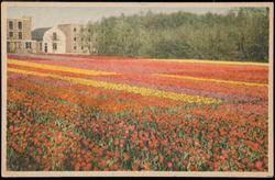 Postcard sent by Ellsworth Kelly to Ralph Coburn from the Netherlands