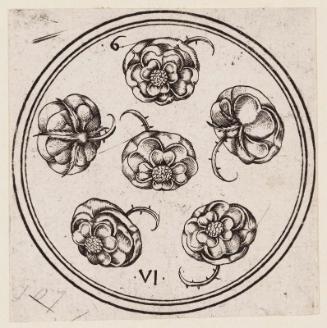 Six of Roses (from a series of 72 playing cards)