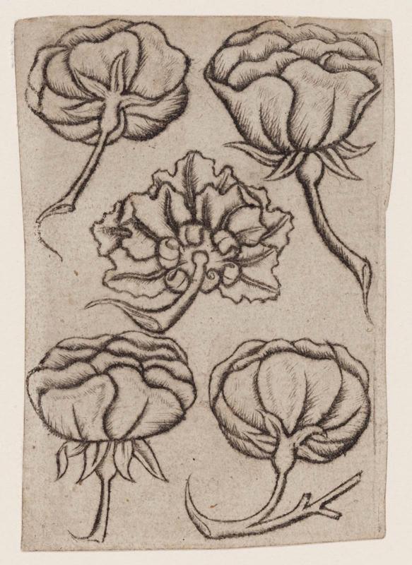 Five of Flowers