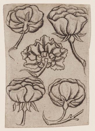Five of Flowers