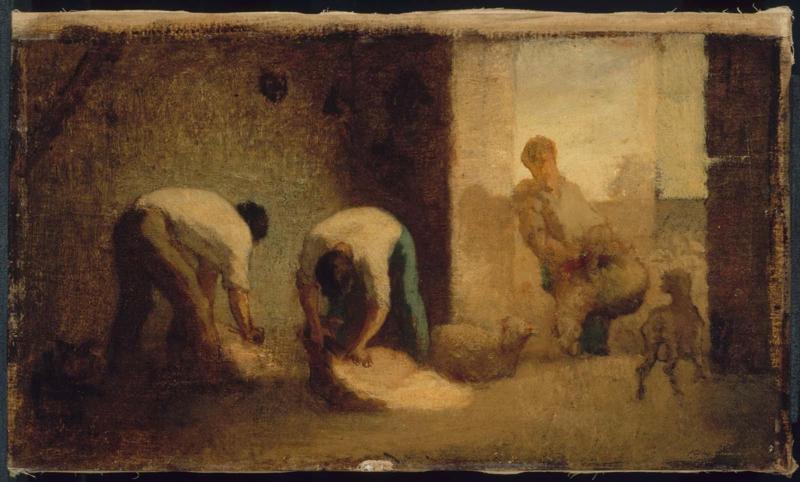 Three Men Shearing Sheep in a Barn