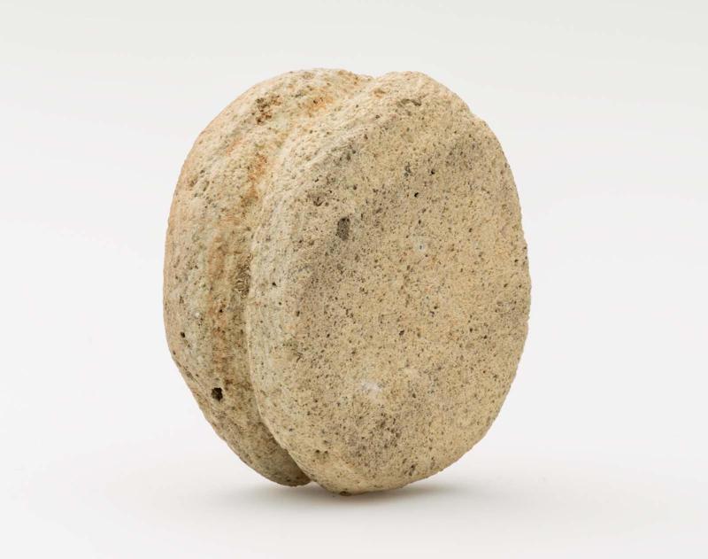 Disc or earspool