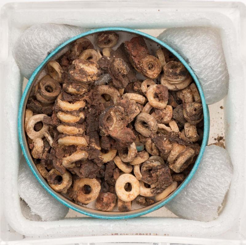 Ring beads and leather fragments