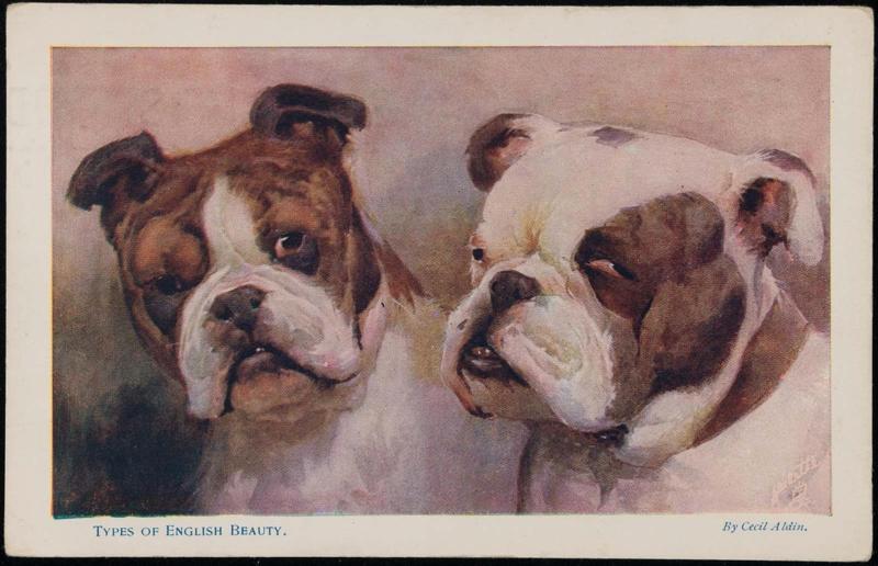 Types of English Beauty.