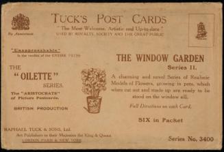 THE WINDOW GARDEN
Series II.
A charming and novel Series of Realistic Models of Flowers, growing in pots, which when cut out and made up are ready to be stood on the window sill. 
SIX in Packet.
Full Directions on each Card.