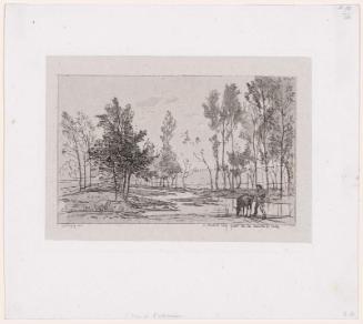 L'Âne à l'abreuvoir