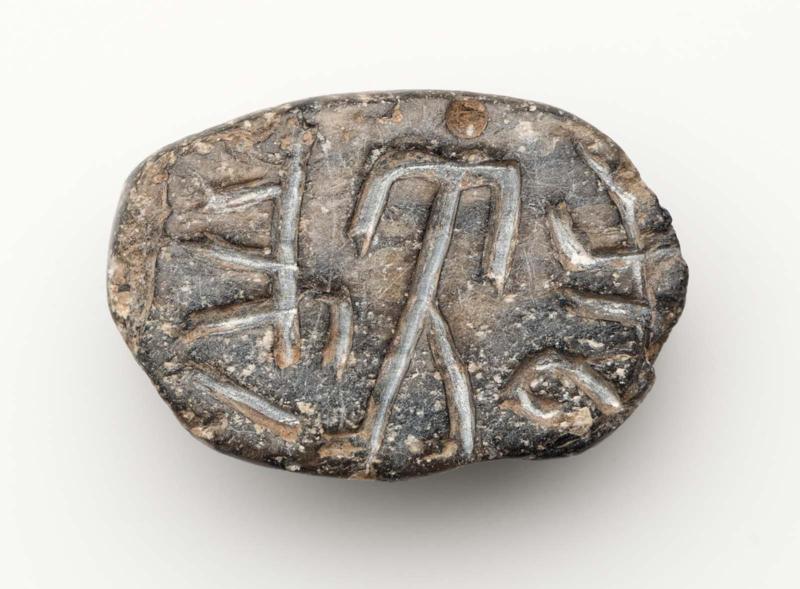Seal