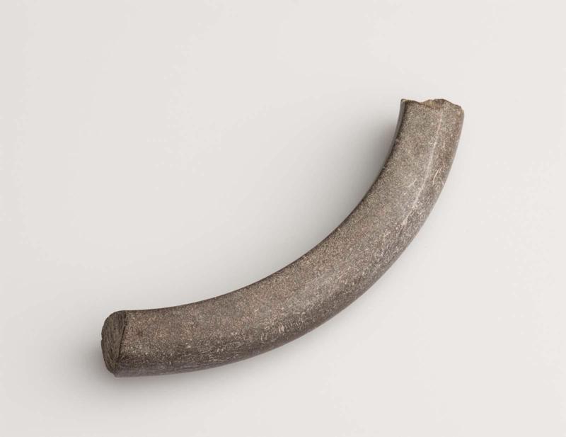 Bracelet fragment