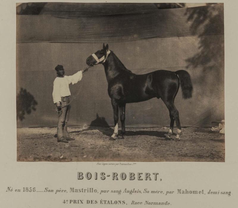 Bois-Robert