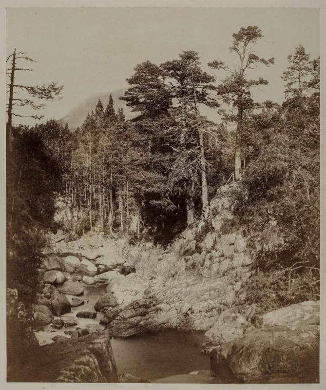 Bed of the Garravault, Braemar, Scotland