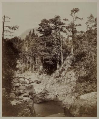 Bed of the Garravault, Braemar, Scotland