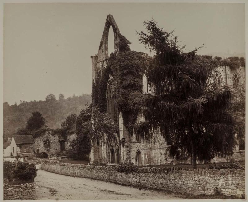 Tintern Abbey