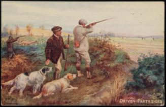 DRIVEN PARTRDGES.