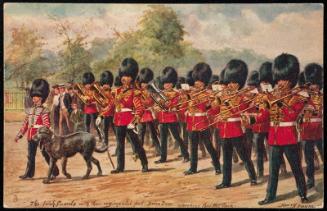 The Irish Guards with their regimental pet, Brian Bora, marching through the park.
