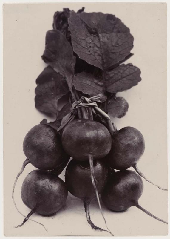 Radish Red Turnip