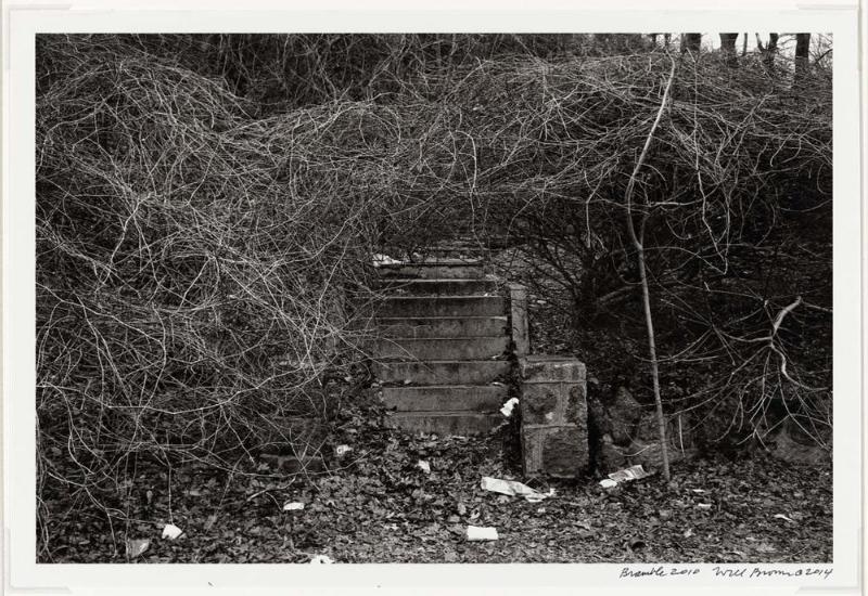 Bramble Steps