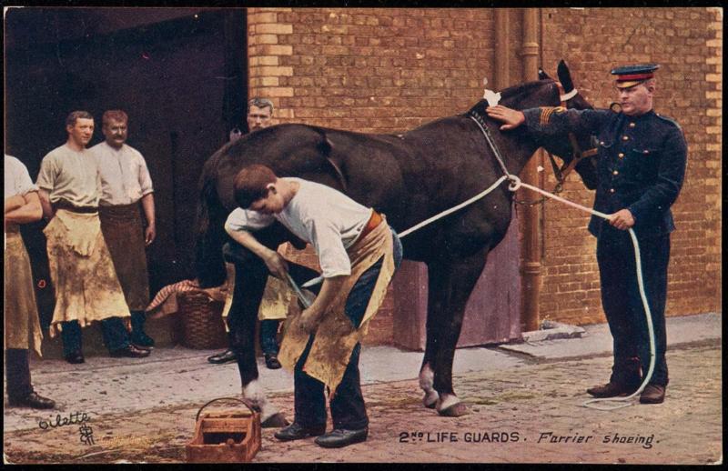 2ND LIFE GUARDS. Farrier shoeing.
