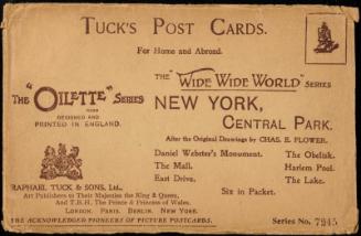 THE "WIDE WIDE WORLD" SERIES
NEW YORK, 
CENTRAL PARK.
After the original Drawings by CHAS. E. FLOWER. 
Series 7245.