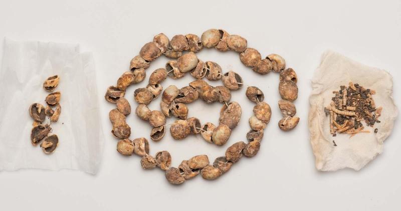 Beads and shell fragments