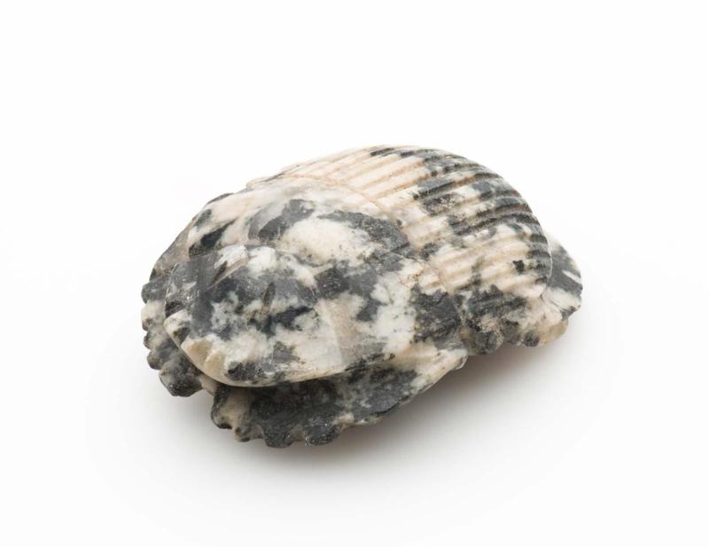 Scarab, naturalistic