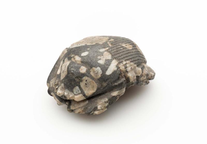 Scarab