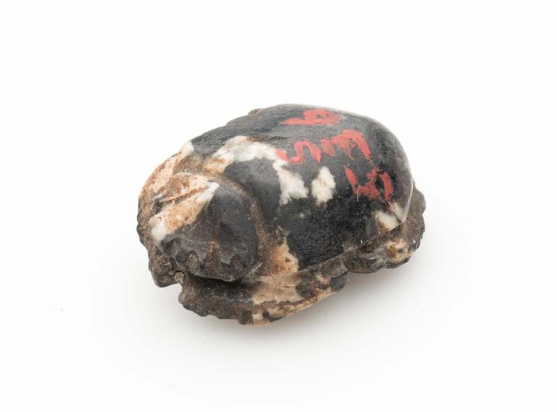 Scarab