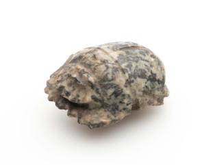 Scarab