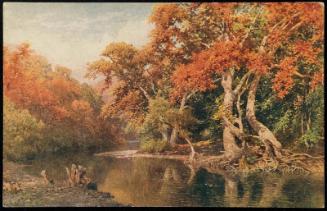 Sycamores, California.