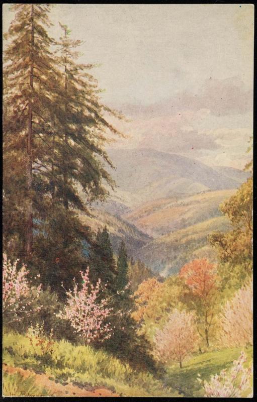 Santo Cruz Mountains, California.