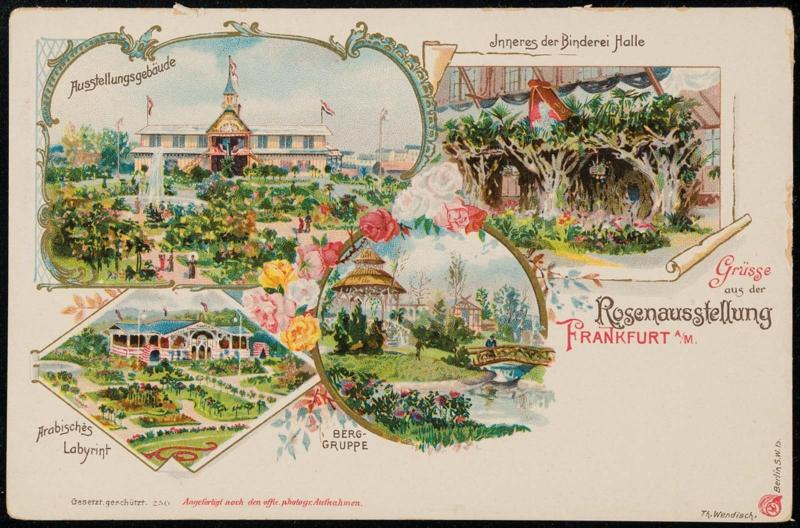 Grüsse aus der Rosenausstellung FRANKFURT A/M.