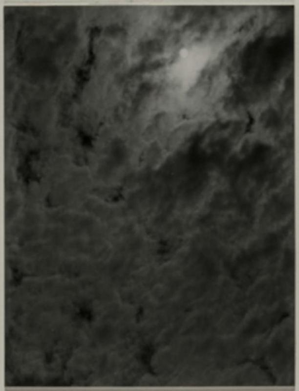 Songs of the Sky in Five Pictures (No. 4)